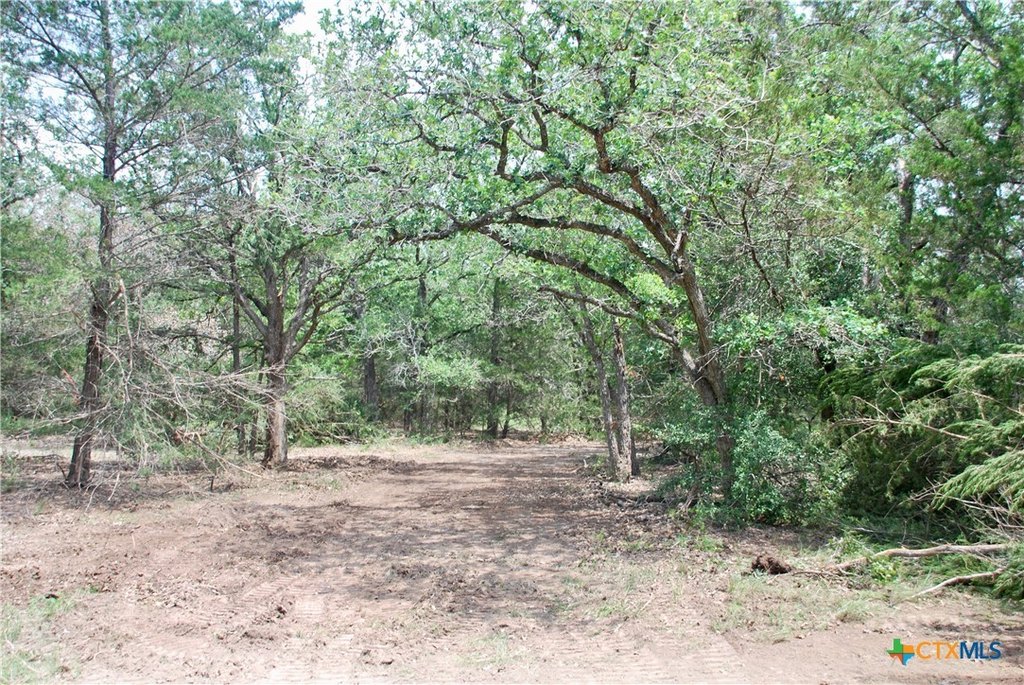 Picture 5