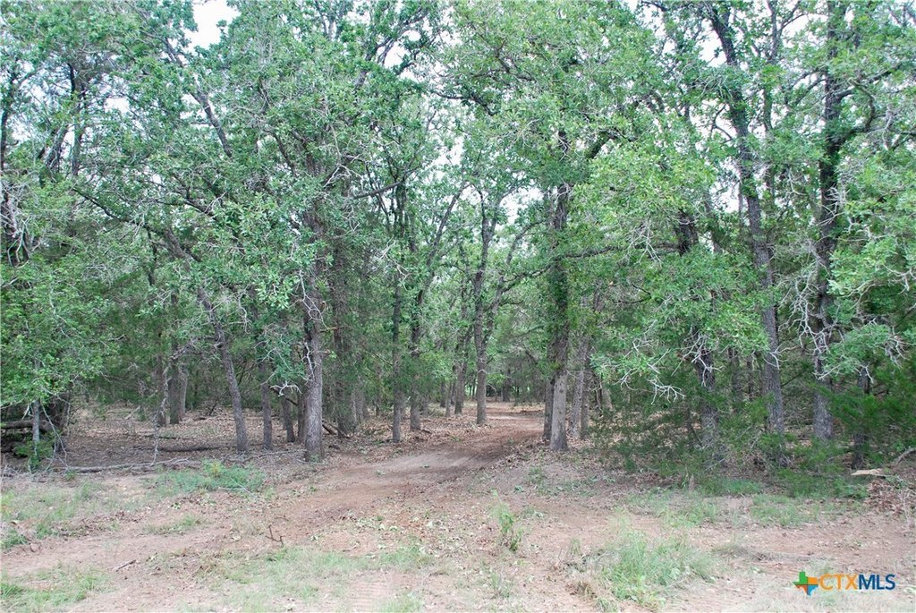 Picture 11