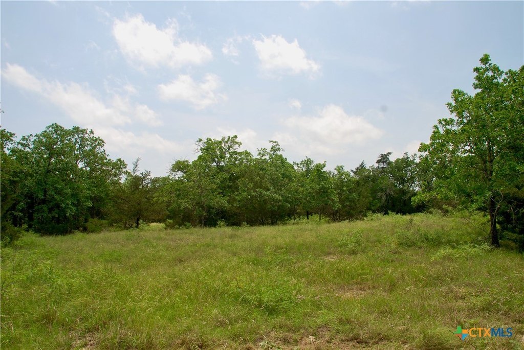 Picture 8