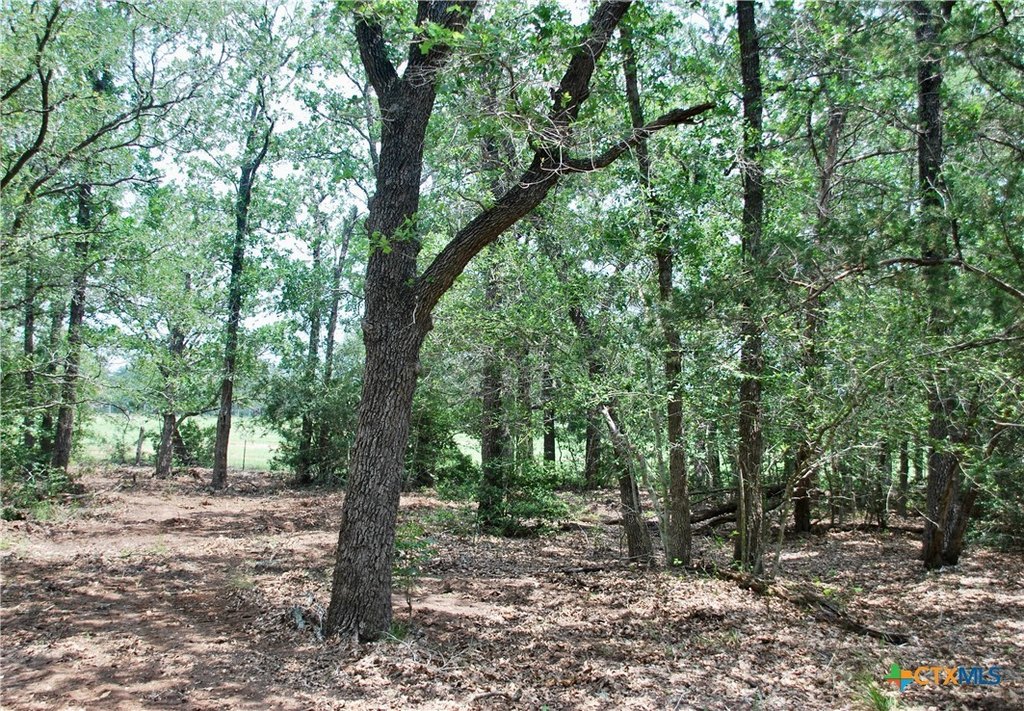 Picture 14