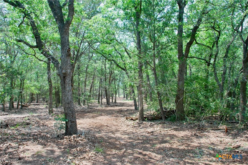 Picture 15