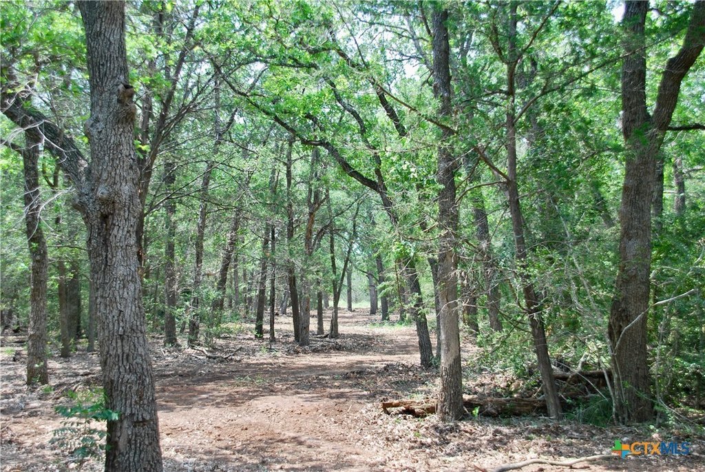 Picture 16