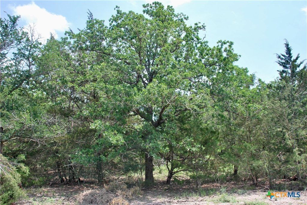 Picture 20