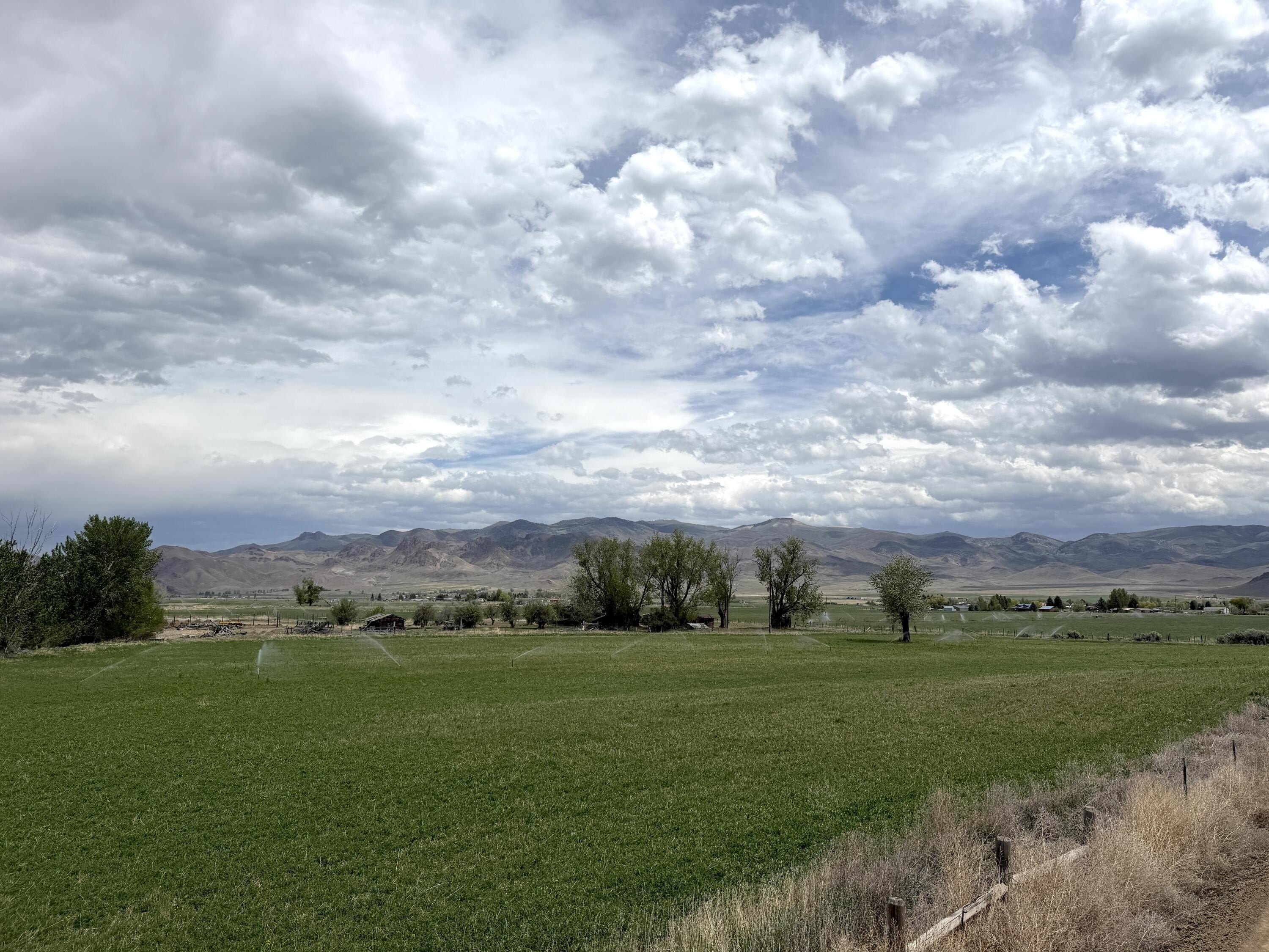 97.5 Acres Near Salmon River