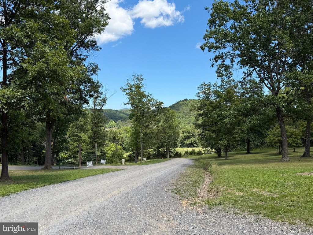 Picture 18