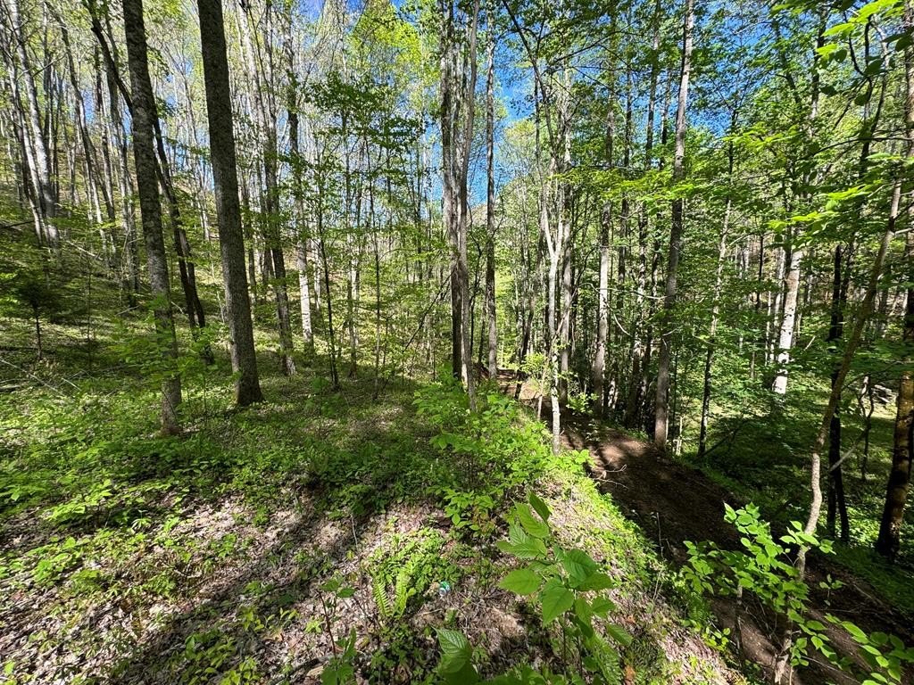 Creekside Acreage Near NOC