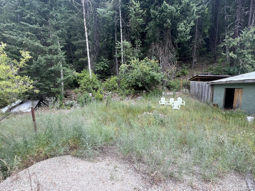 Picture 2