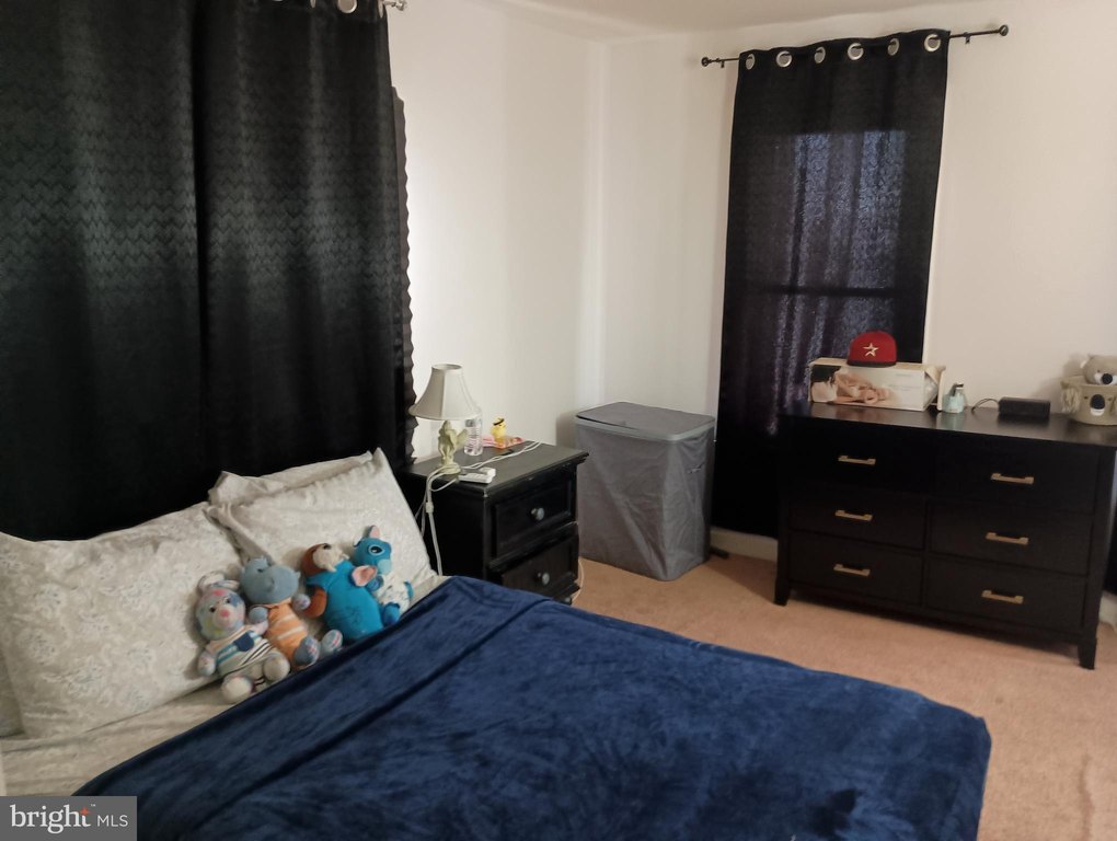 Picture 23