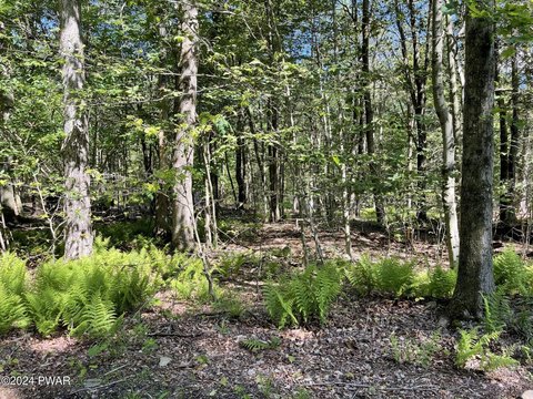 Land Near Lake Wallenpaupack