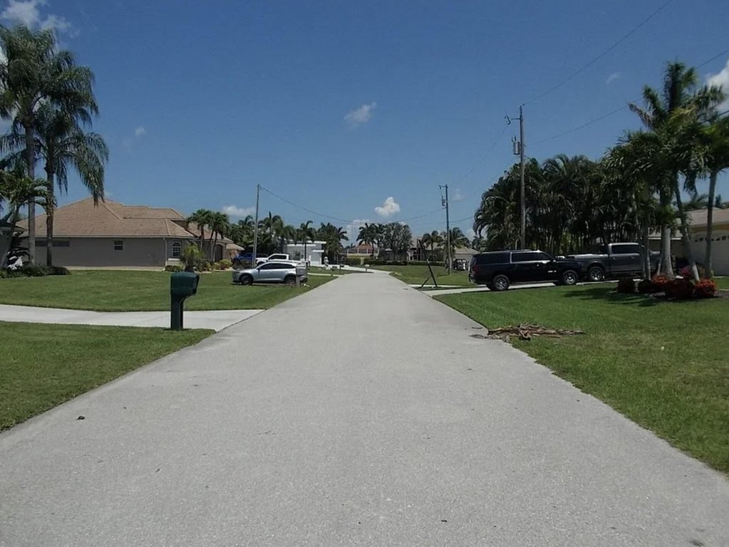 Picture 5
