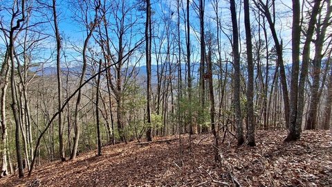 Unrestricted Land with Mountain Views