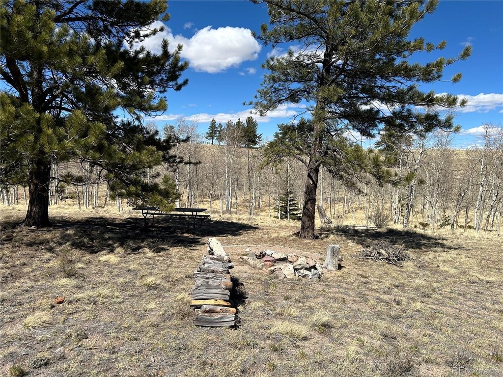 Picture 31