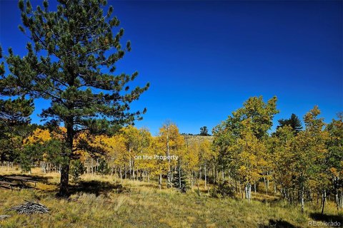 Land, Hartsel, CO
