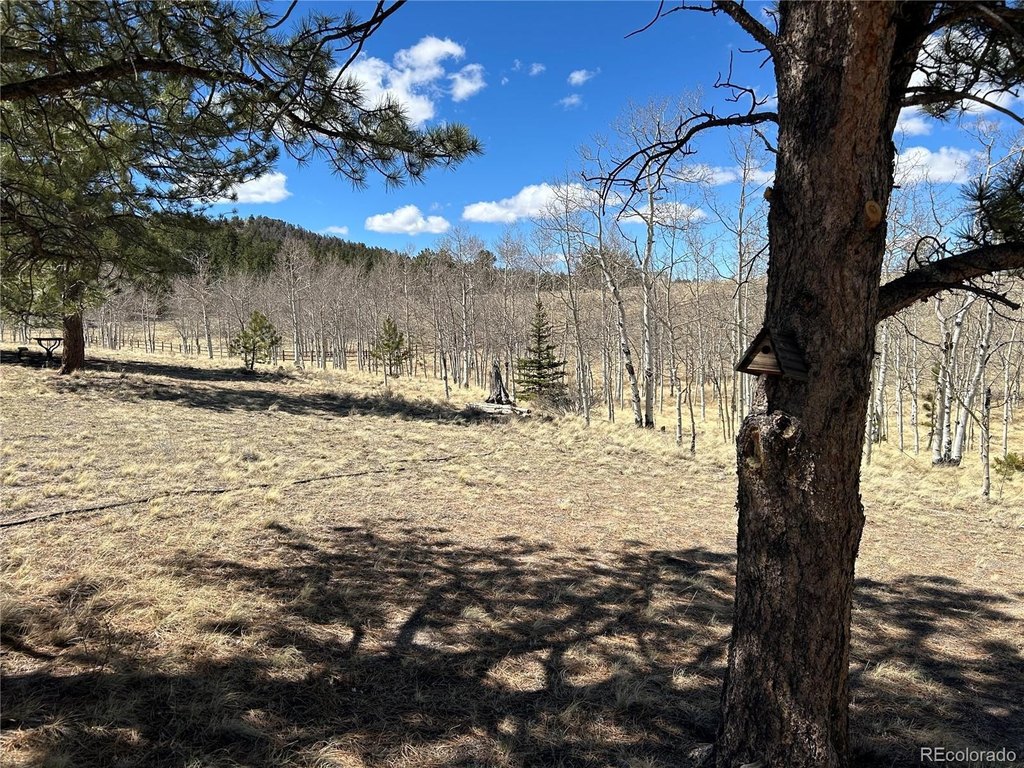 Picture 36