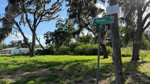 Land, THONOTOSASSA, FL