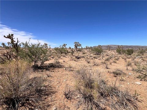 Dolan Springs Land Opportunity