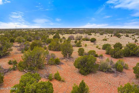 12 Acres in South Rim Ranch