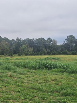 Land, Burkesville, KY