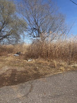 LAND - Staten Island, NY