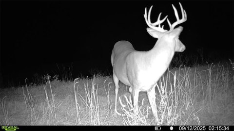 25 Acres Prime Hunting Land