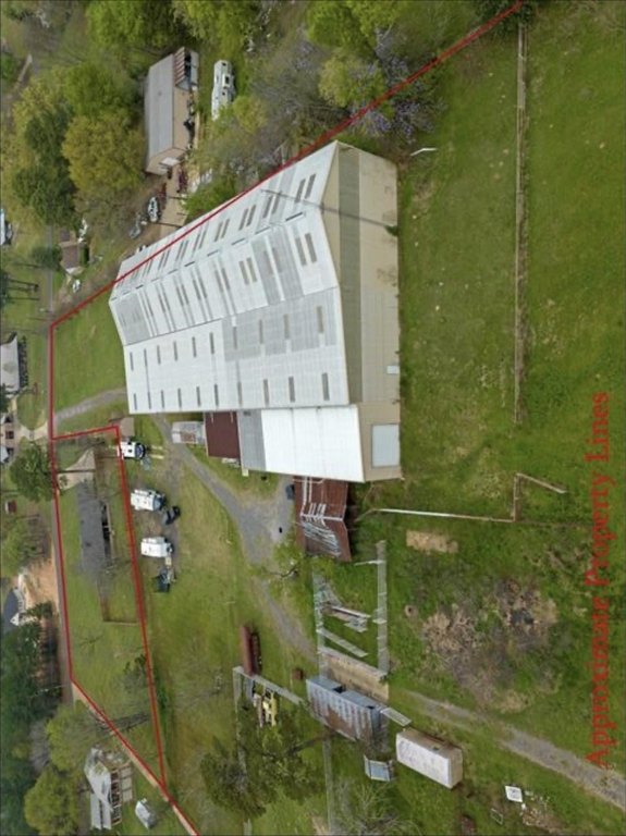 Picture 5