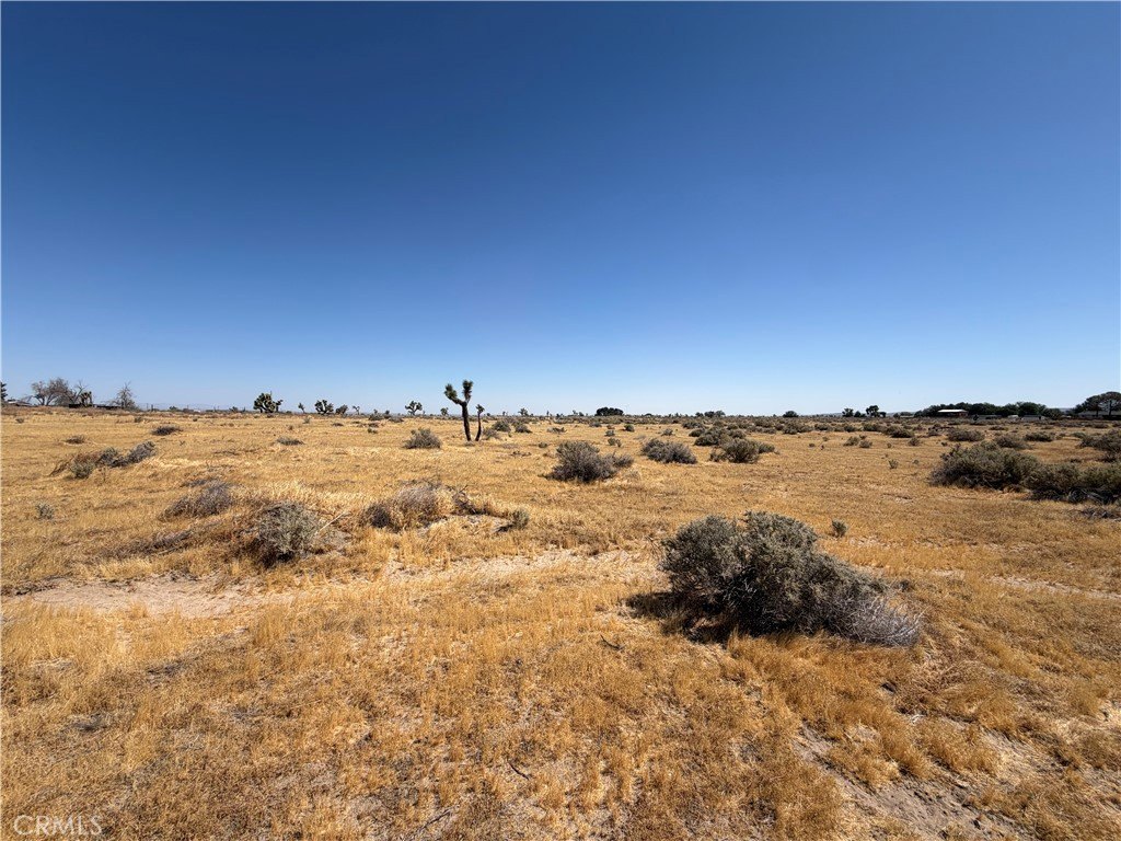 Picture 22