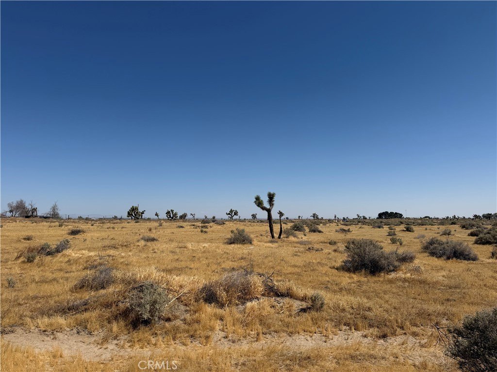 Picture 26