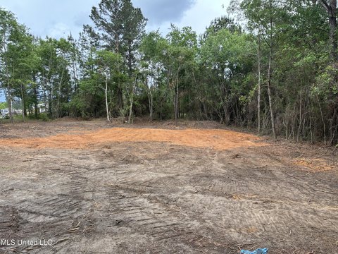Residential Land in Saucier, MS