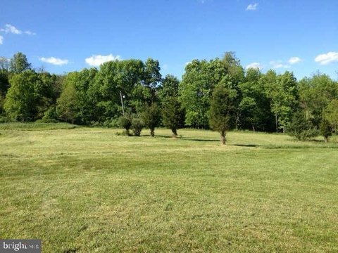 Level Pasture Land For Sale