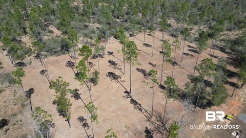 Residential Land Building Lot