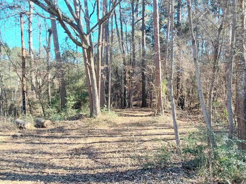 5.34 Acres in Tatum, TX