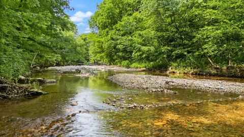 Recreational Acreage with Creek
