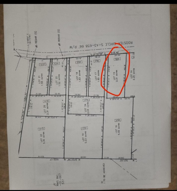 Picture 5