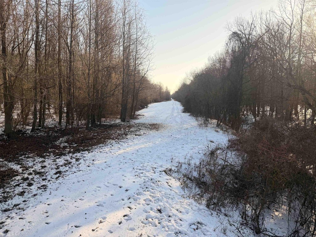 Picture 22
