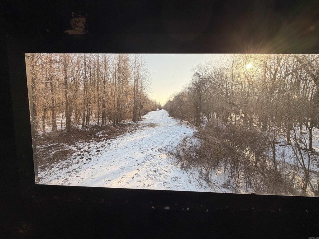 Picture 14
