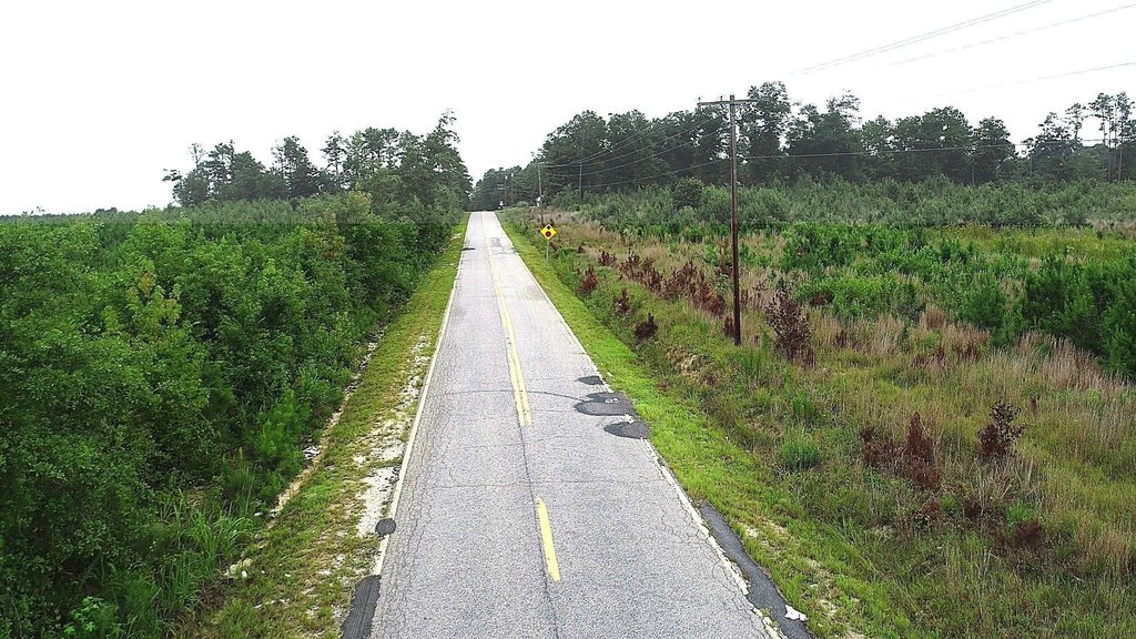 Picture 16