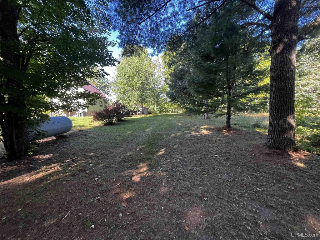 Picture 18