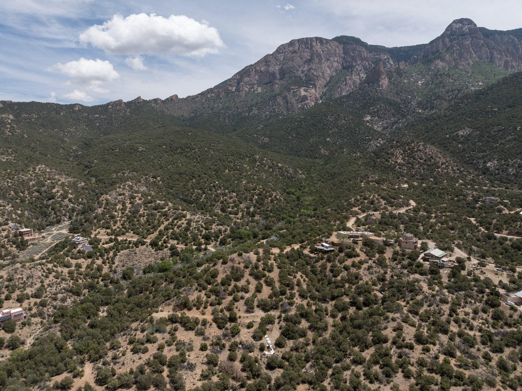 Picture 24
