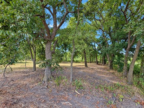 Land, Honey Grove, TX