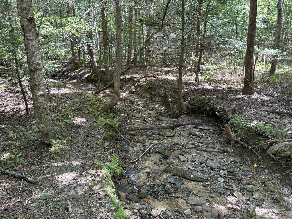 Picture 13