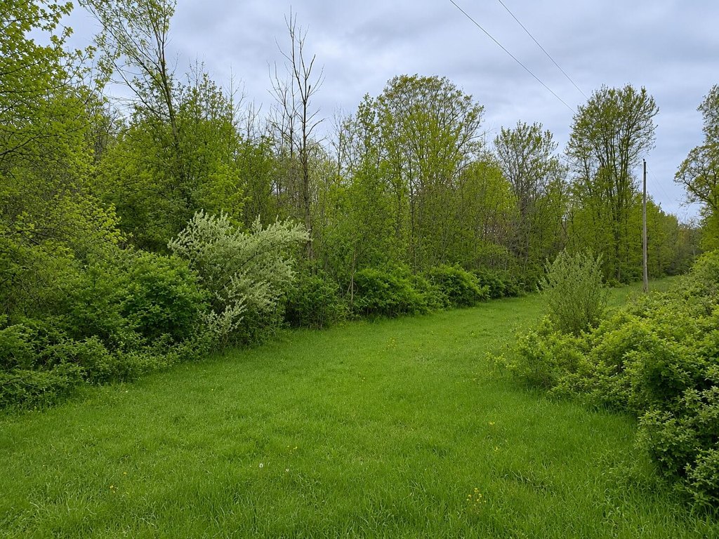Picture 8