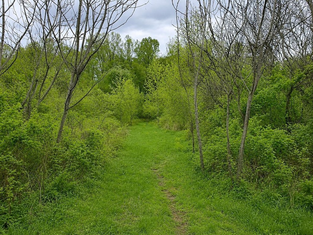 Picture 7