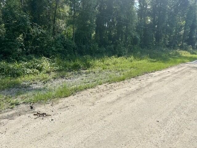 Picture 5