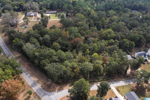 Bessemer Land Opportunity