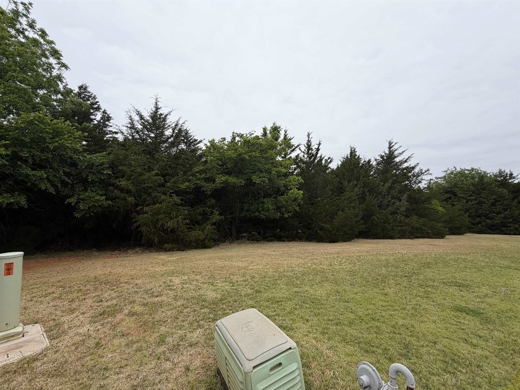 Picture 3