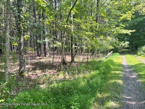 LAND - Greenville, NY