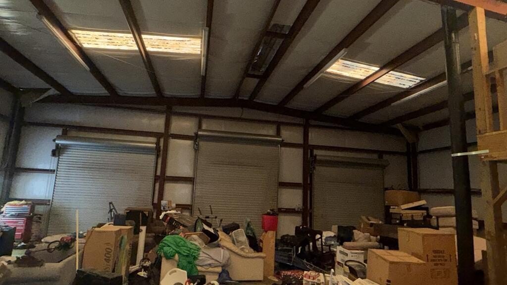 Picture 15