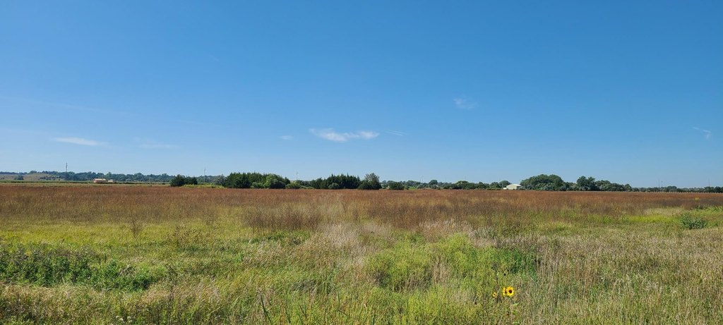 Picture 14