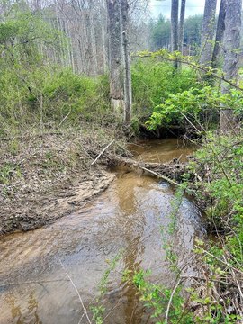 Vacant Lot, Blue Ridge, GA