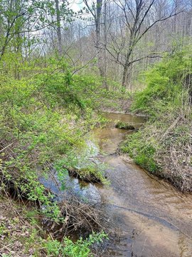 Vacant Lot, Blue Ridge, GA